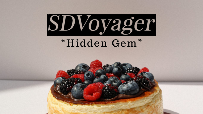SD Voyager interview